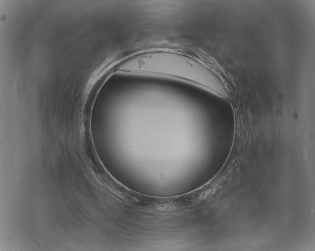 X0000077280344200610200750