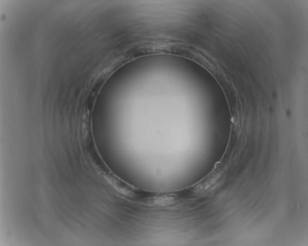 X0000077280462200610200749
