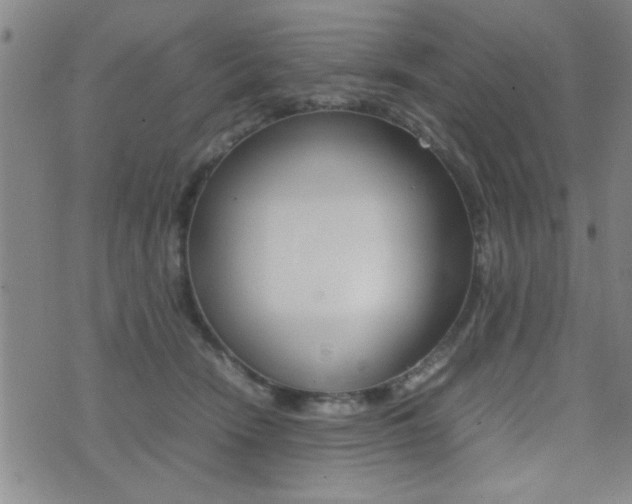 X0000077280466200610200749