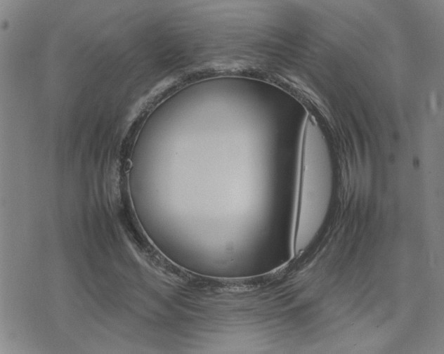 X0000077280492200610200748