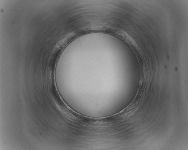 X0000077280542200610200747