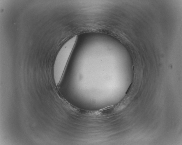 X0000077280576200610200747
