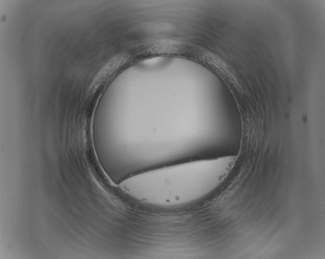 X0000077280586200610200746