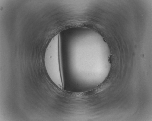 X0000077280624200610200746