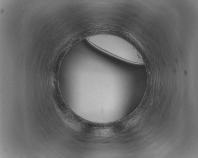 X0000077280643200610200745