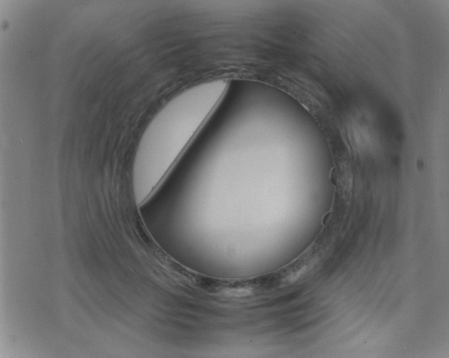 X0000077280653200610200745