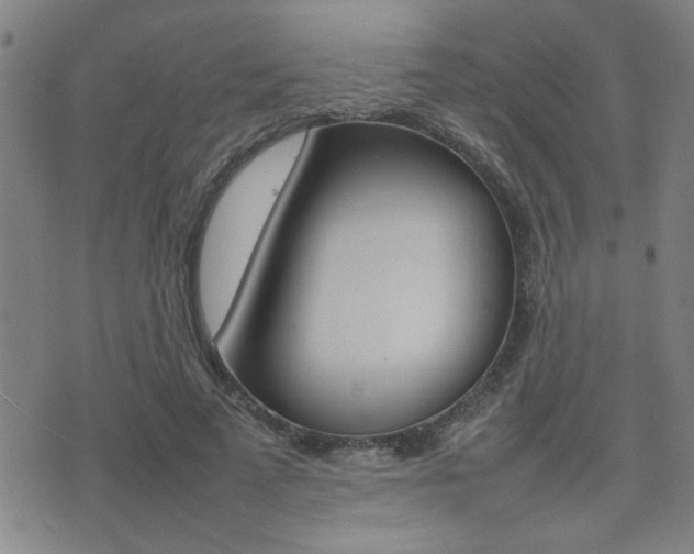 X0000077280689200610200745