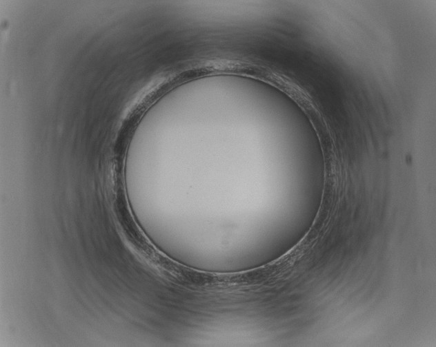 X0000077280730200610200743
