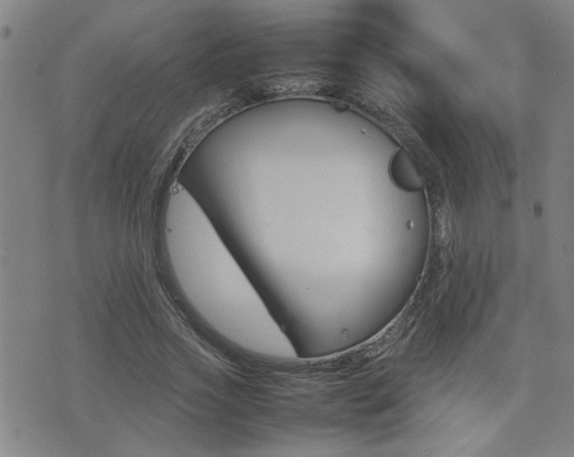 X0000077280733200610200743