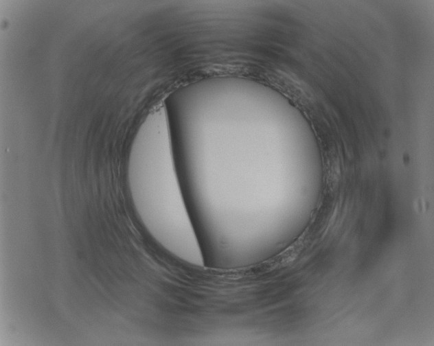 X0000077280749200610200744