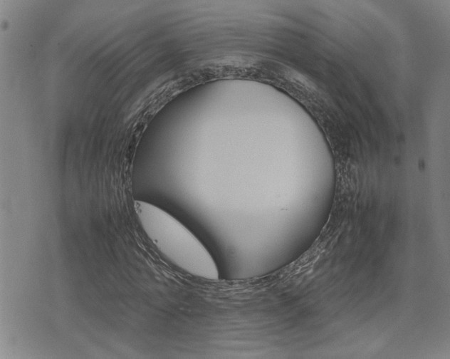 X0000077280774200610200743