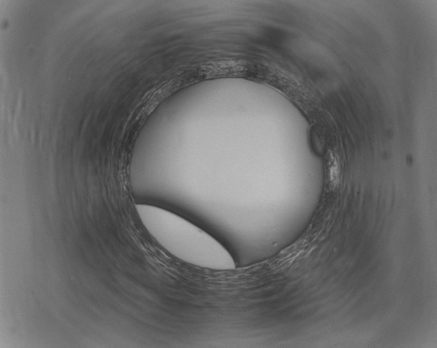 X0000077280819200610200742