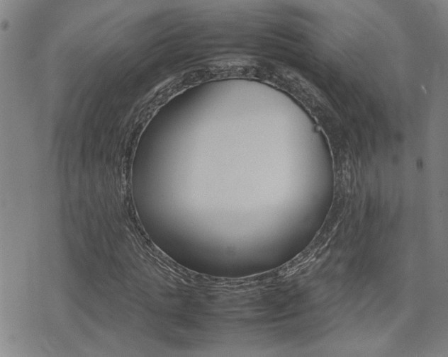 X0000077280821200610200742