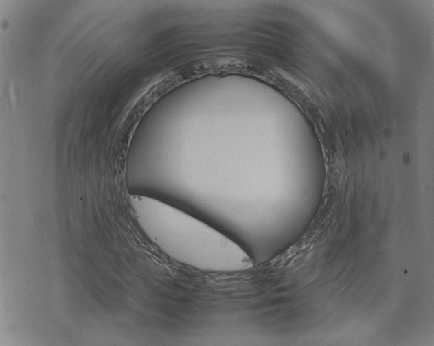 X0000077280823200610200742