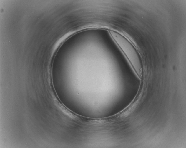 X0000077280854200610200742
