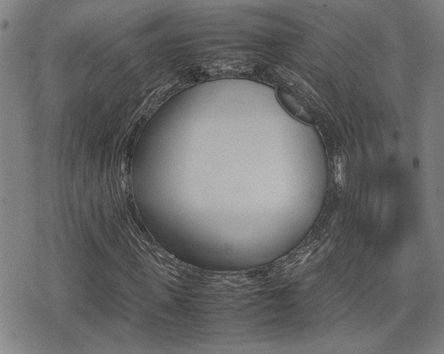 X0000077280915200610200740