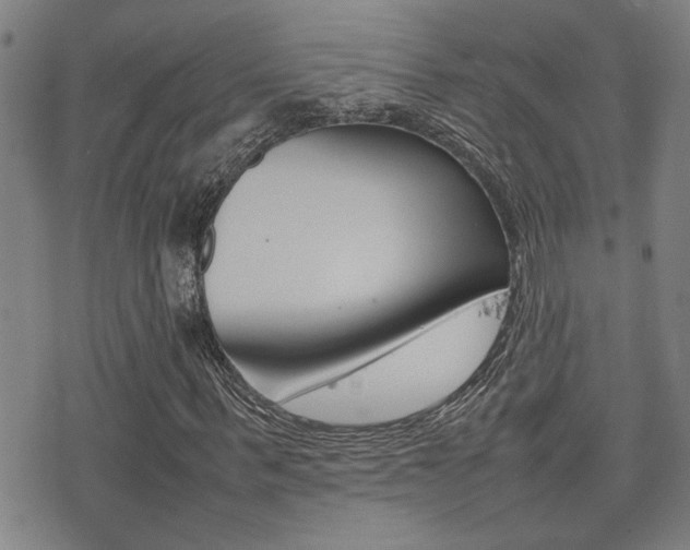 X0000077280963200610200740