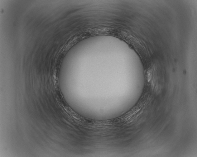 X0000077281011200610200739