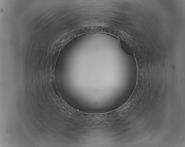 X0000077281014200610200739