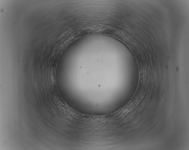 X0000077281058200610200739