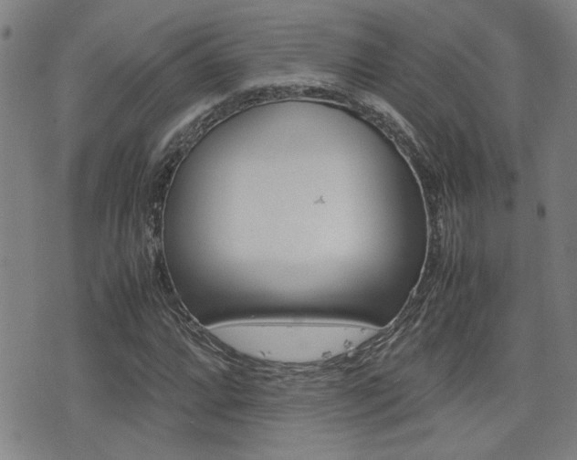 X0000077281064200610200738