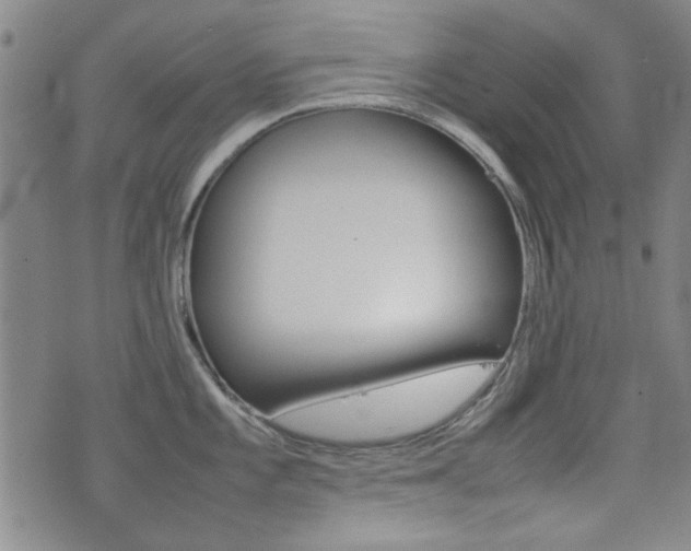 X0000077281101200610200738