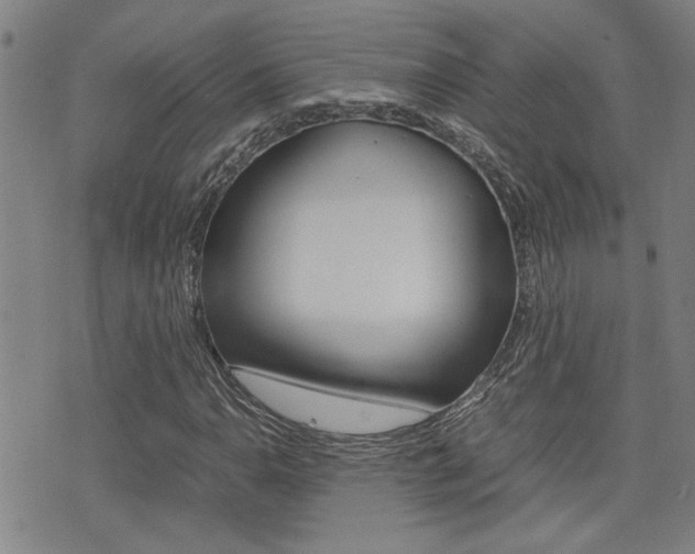 X0000077281110200610200737