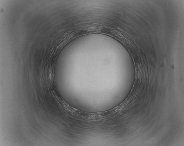 X0000077281154200610200737