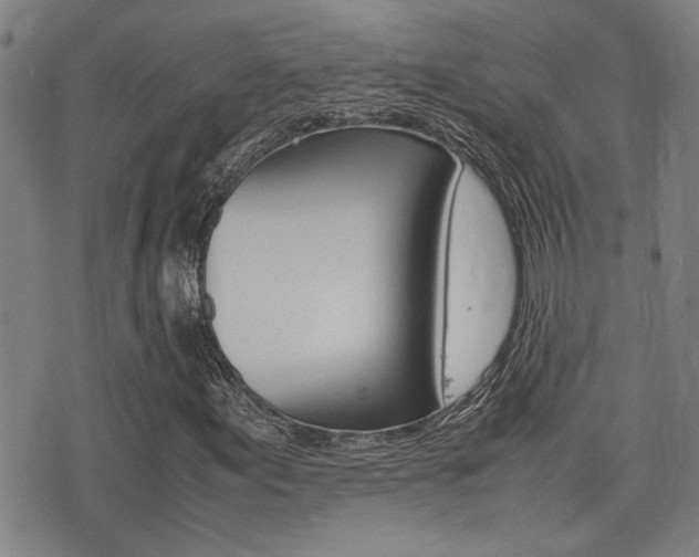 X0000077281155200610200737
