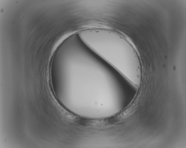 X0000077281195200610200736