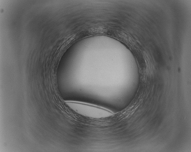 X0000077281201200610200735