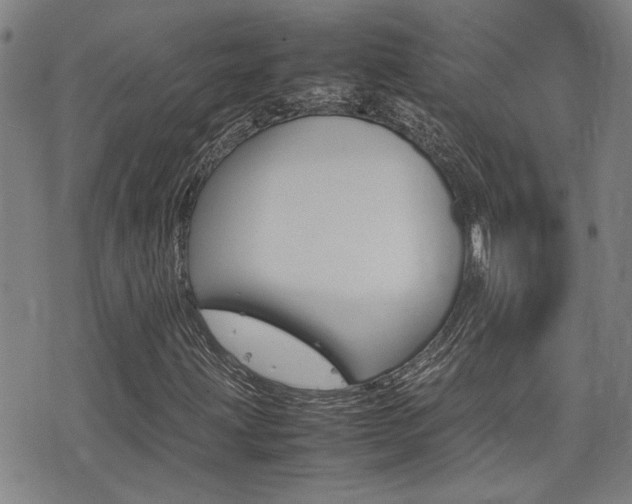 X0000077281203200610200735