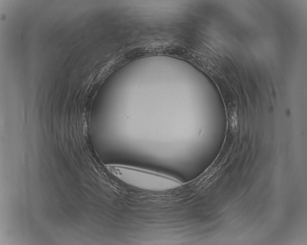 X0000077281204200610200735