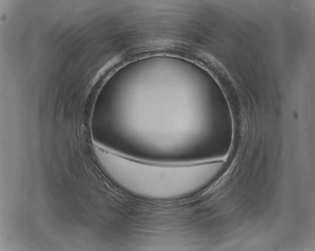 X0000077281210200610200736