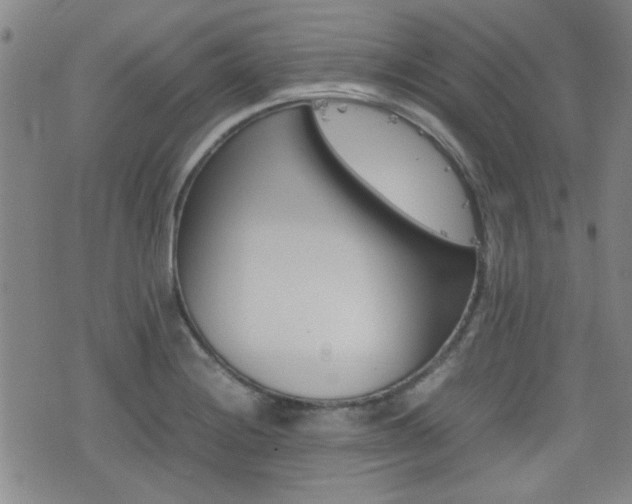 X0000077281228200610200736