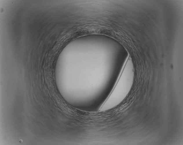 X0000077281249200610200735