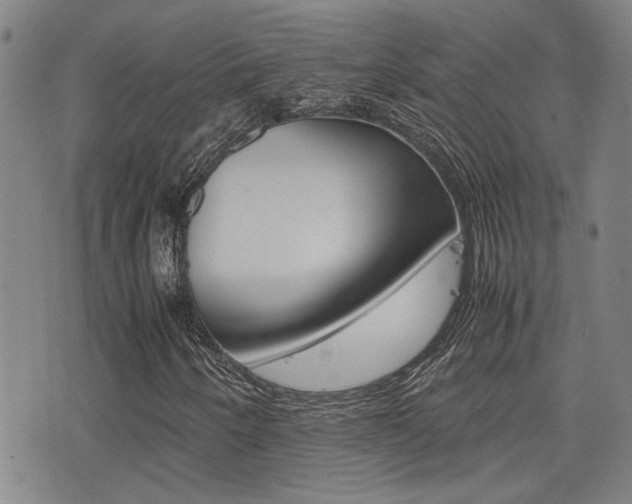 X0000077281250200610200735