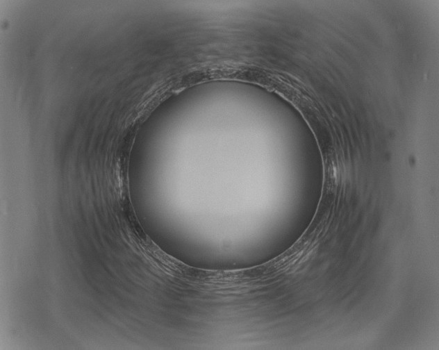 X0000077281252200610200735