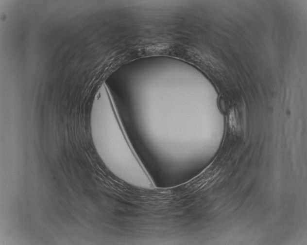 X0000077281299200610200734