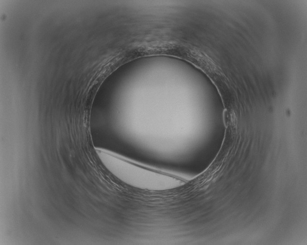 X0000077281300200610200734