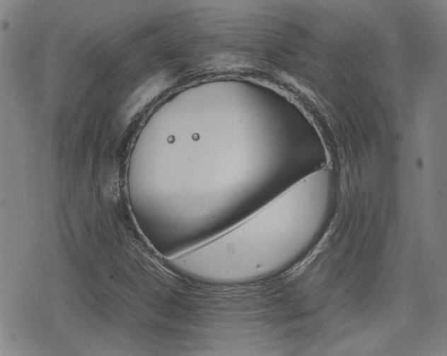 X0000077281306200610200734