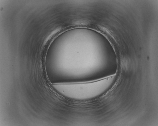X0000077281307200610200734