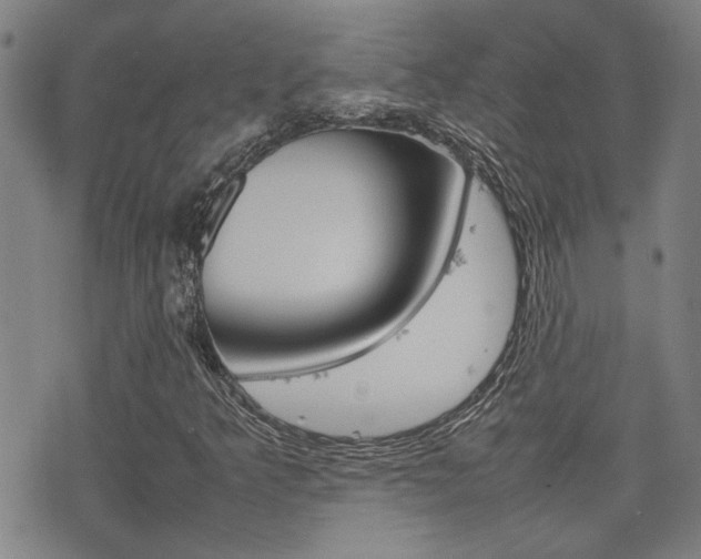X0000077281349200610200734