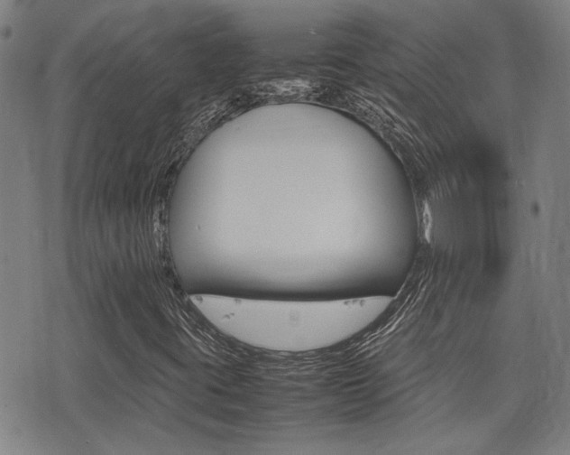 X0000077281395200610200732