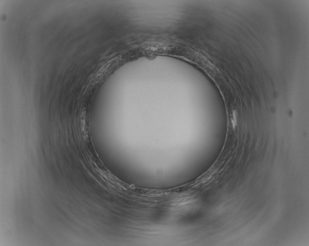 X0000077281396200610200732