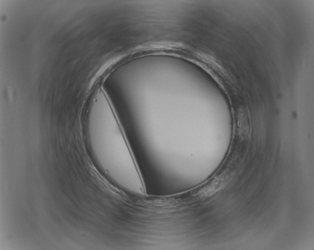 X0000077281404200610200732