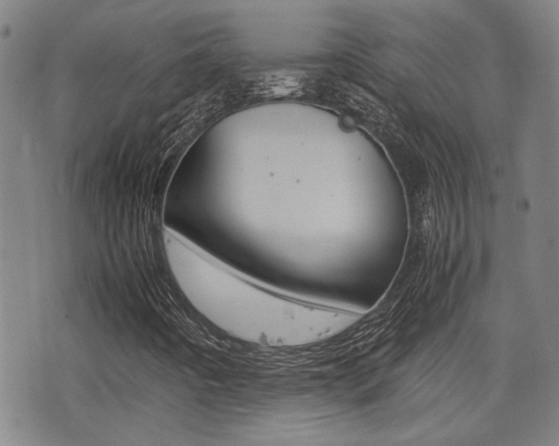 X0000077281442200610200732