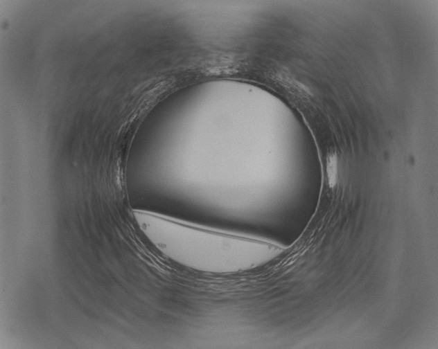 X0000077281444200610200732