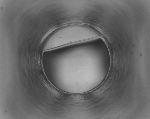 X0000077281450200610200732