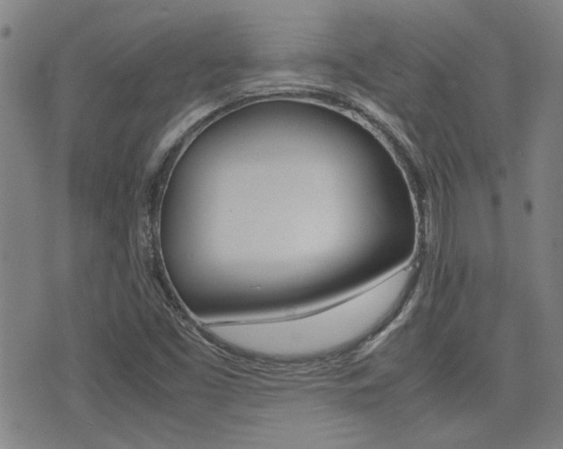 X0000077281453200610200732